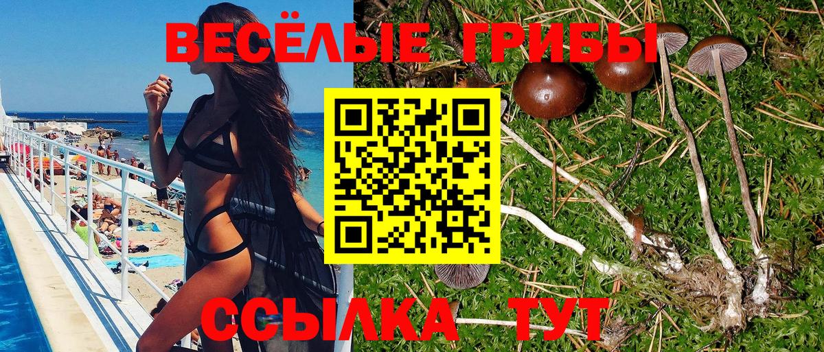 Галлюциногенные грибы Psilocybe  Псилоцибиновые грибы мухоморы  Иркутск  Вход с VPN 