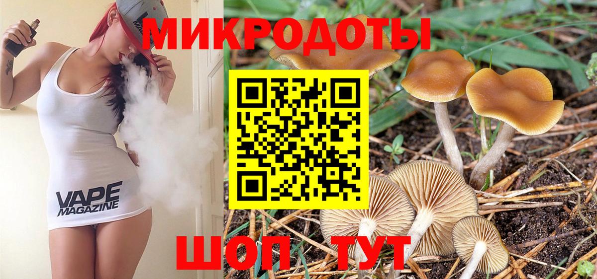 Псилоцибиновые грибы Cubensis Иркутск